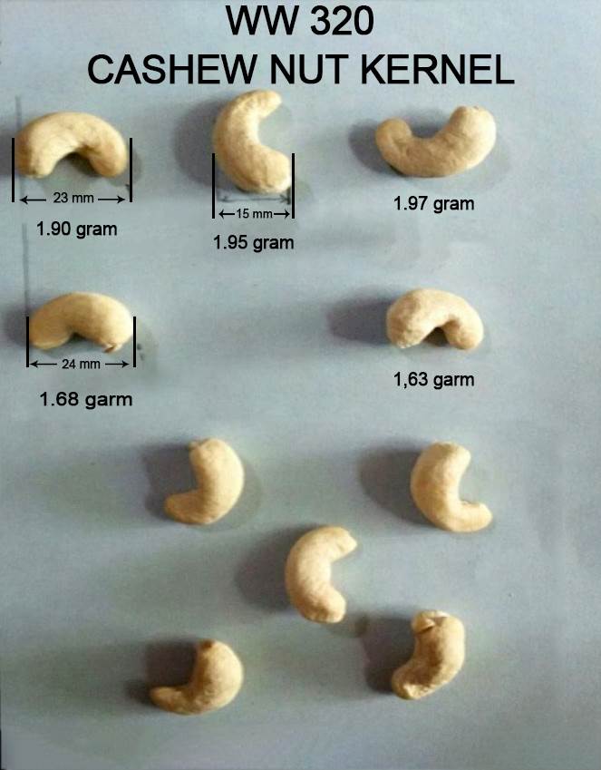 Cashew Nuts 320 Size
