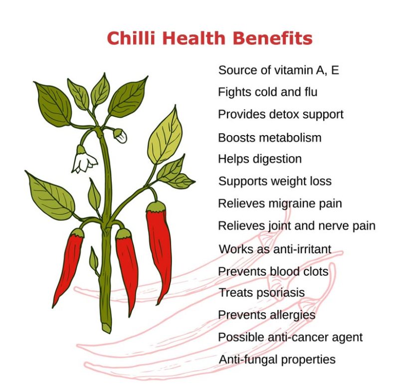 Red Chilli Benefits