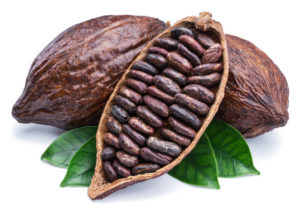 Cocoa pods and cocoa beans 